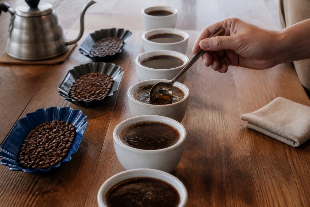 Single-Origin Coffee Flavor Profiles: A 2026 Guide