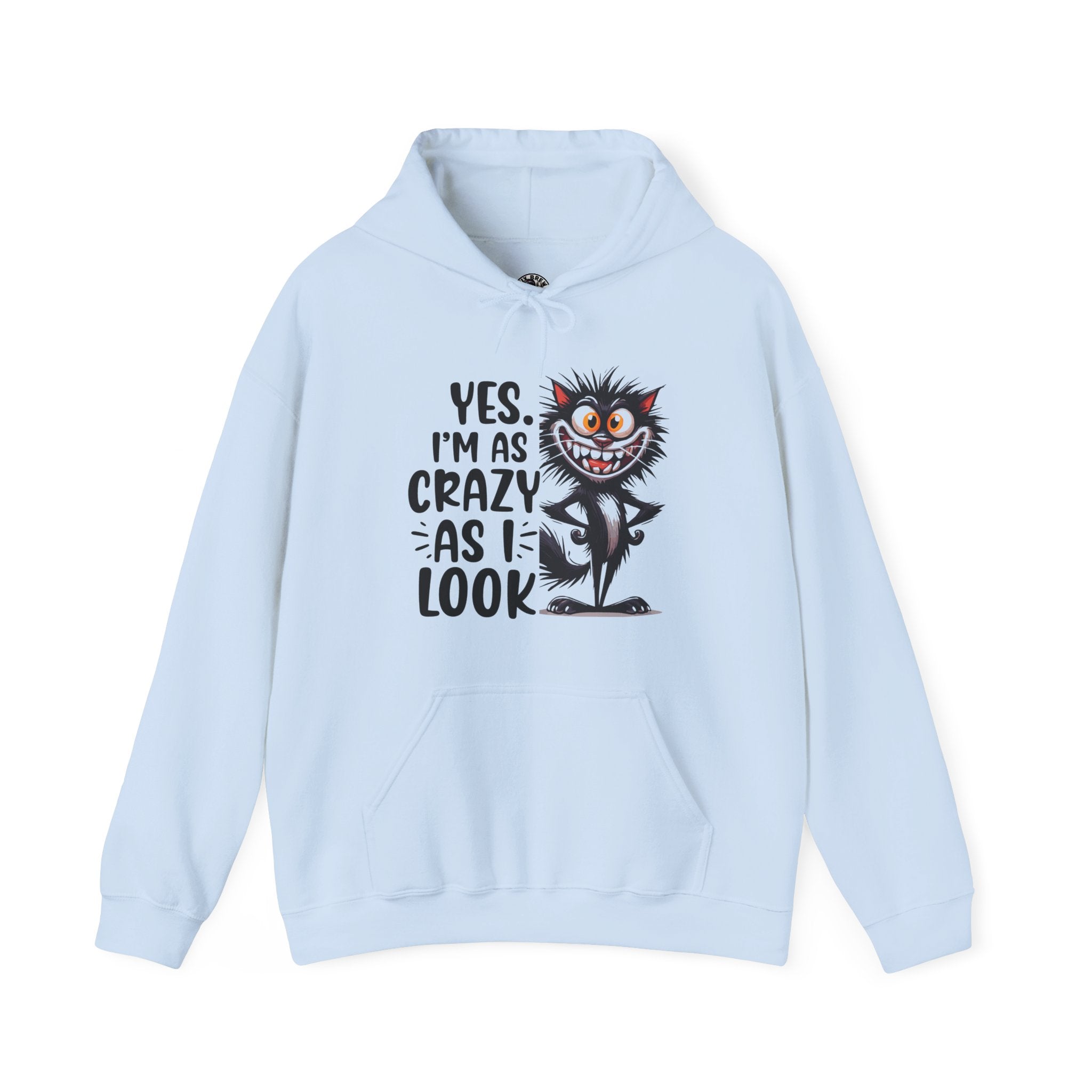 I'm as crazy as I look hoodie, sarcastic sweatshirt for adults, funny casual hoodie