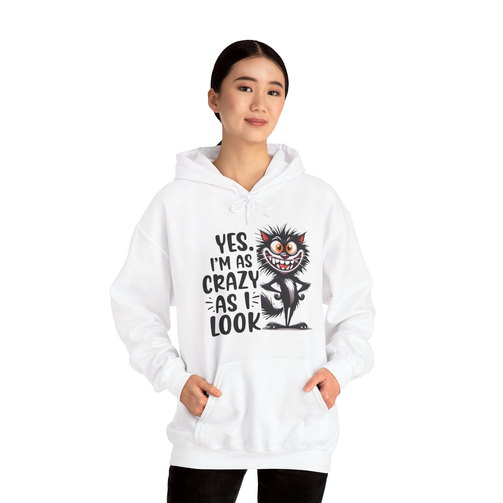 I'm as crazy as I look hoodie, sarcastic sweatshirt for adults, funny casual hoodie