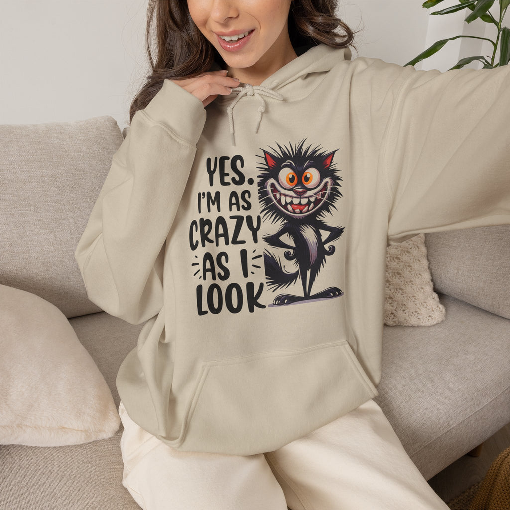 I'm as crazy as I look hoodie, sarcastic sweatshirt for adults, funny casual hoodie