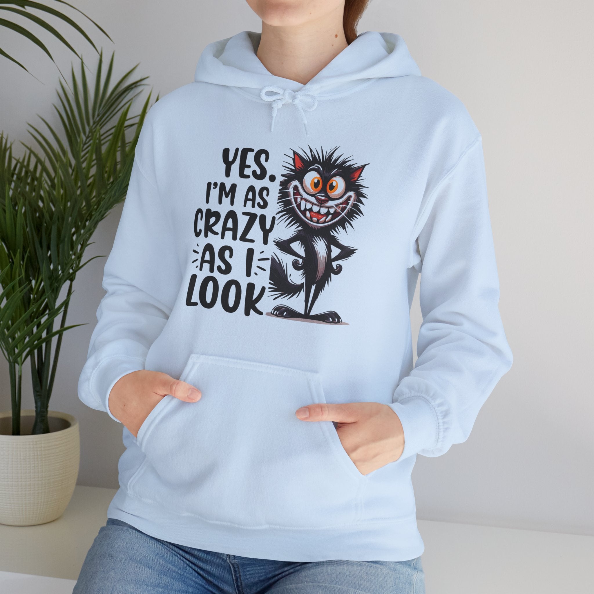I'm as crazy as I look hoodie, sarcastic sweatshirt for adults, funny casual hoodie