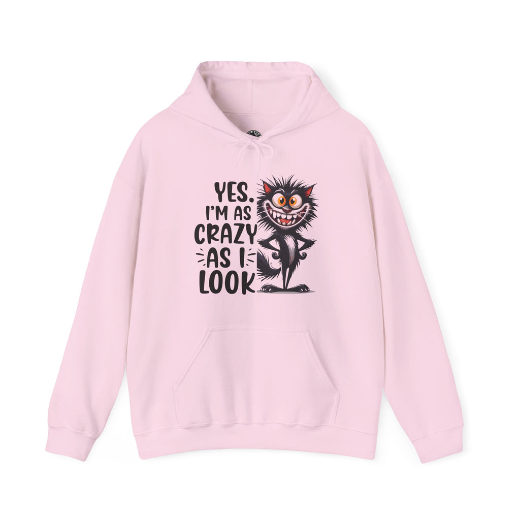 I'm as crazy as I look hoodie, sarcastic sweatshirt for adults, funny casual hoodie