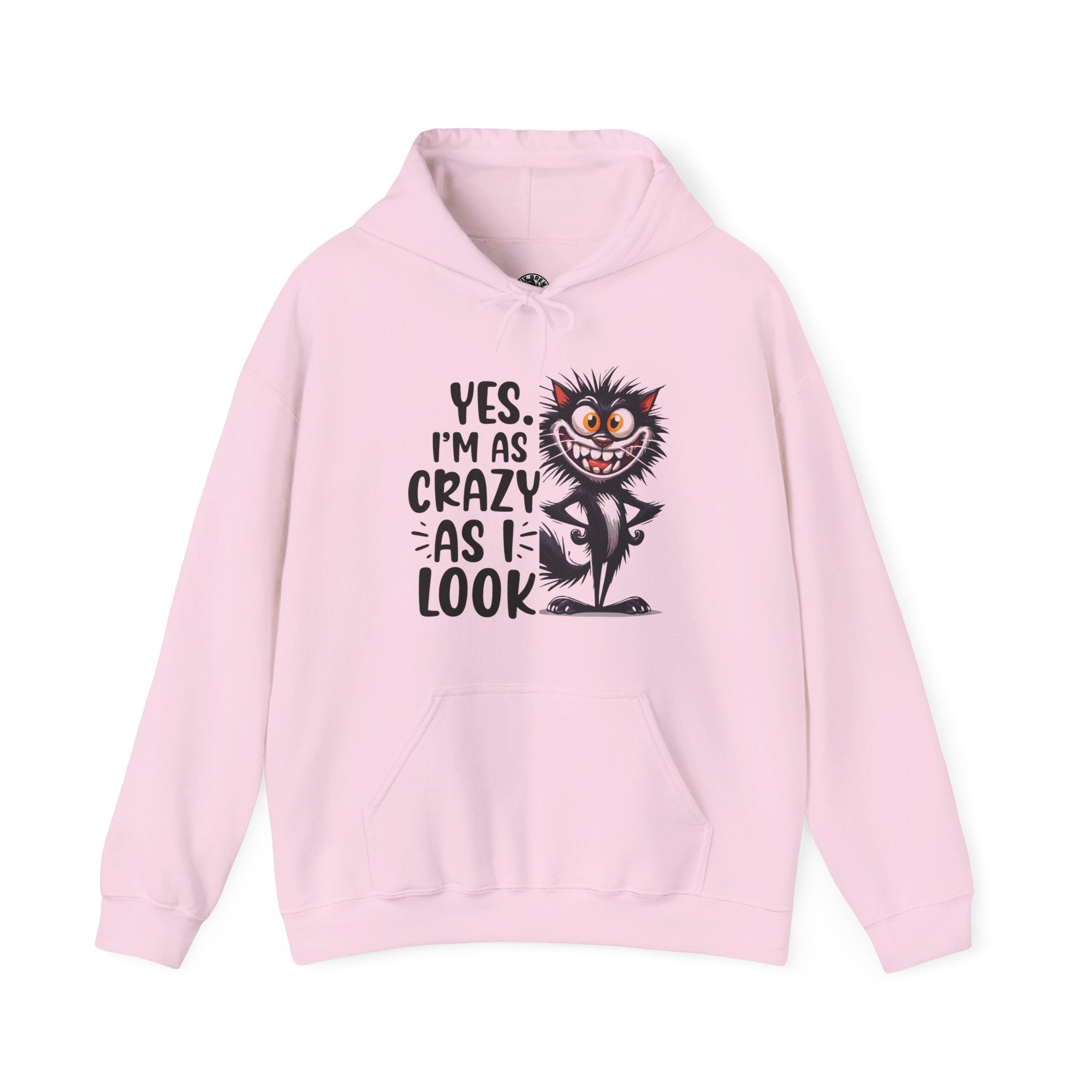 I'm as crazy as I look hoodie, sarcastic sweatshirt for adults, funny casual hoodie