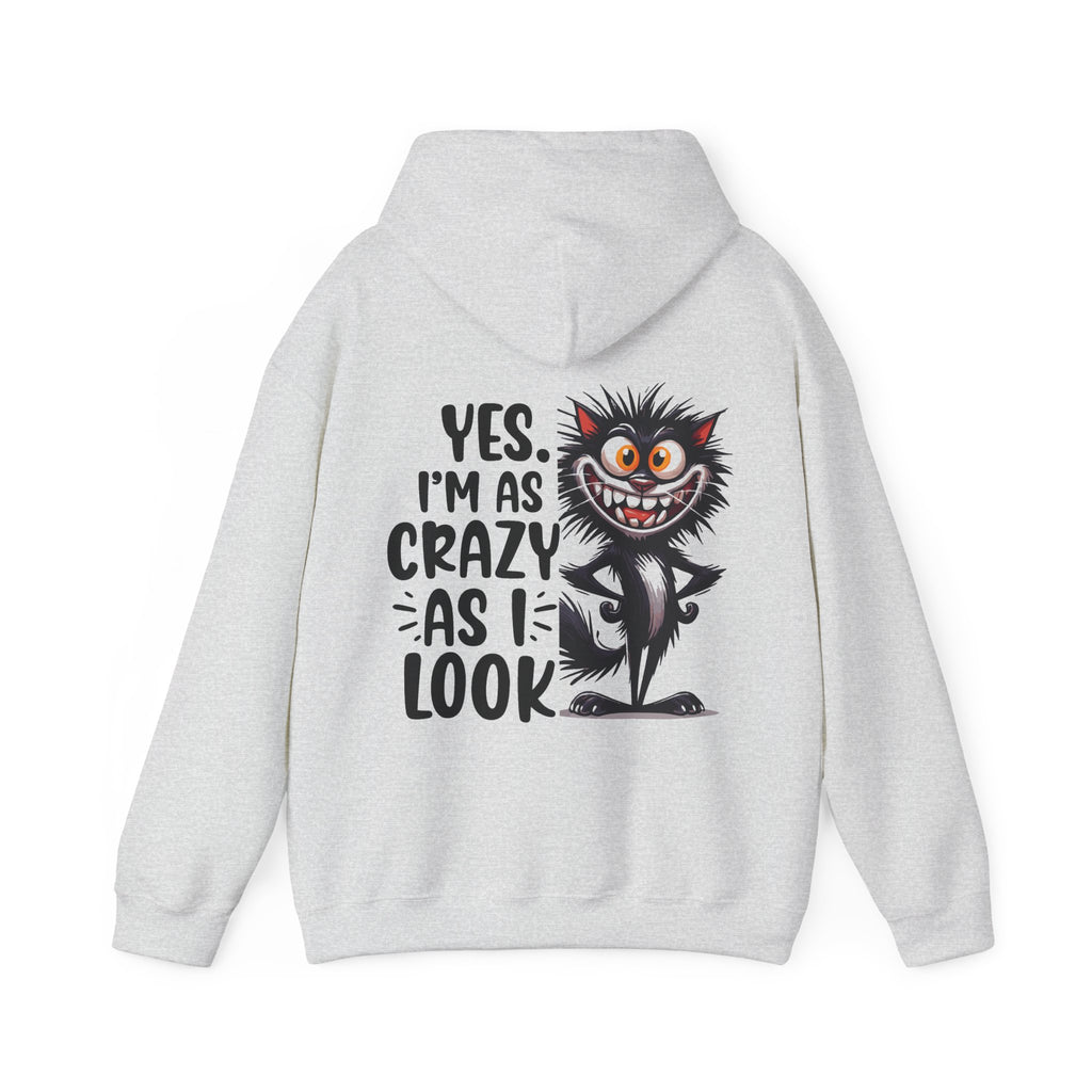 Yes I am as Crazy as I look Hoodie, Coffee Hoodie for Cat Lovers