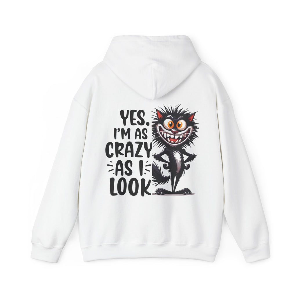Yes I am as Crazy as I look Hoodie, Coffee Hoodie for Cat Lovers