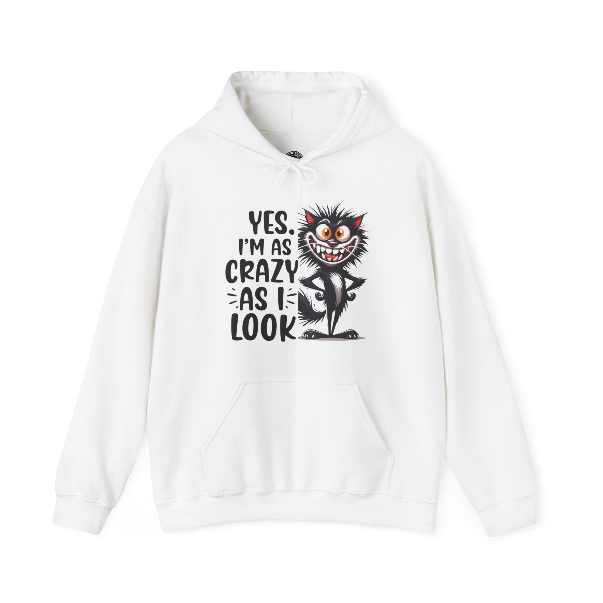 I'm as crazy as I look hoodie, sarcastic sweatshirt for adults, funny casual hoodie