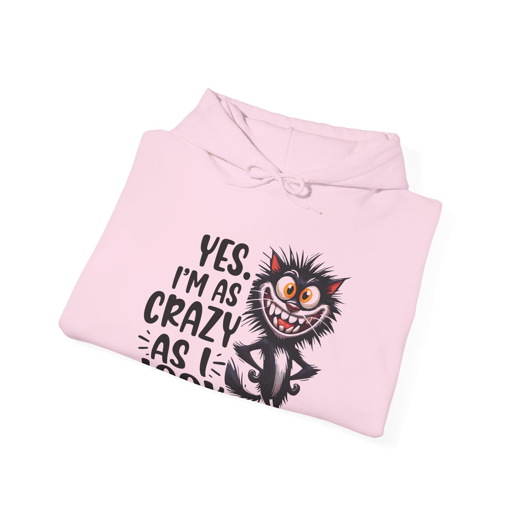 I'm as crazy as I look hoodie, sarcastic sweatshirt for adults, funny casual hoodie