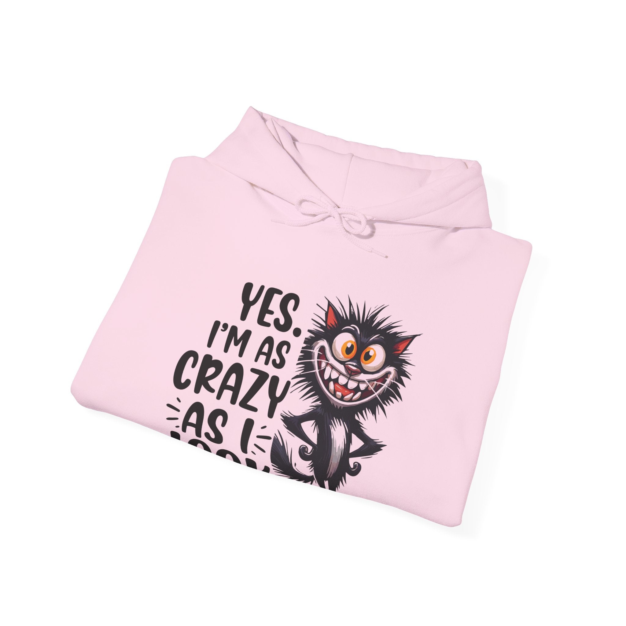 I'm as crazy as I look hoodie, sarcastic sweatshirt for adults, funny casual hoodie