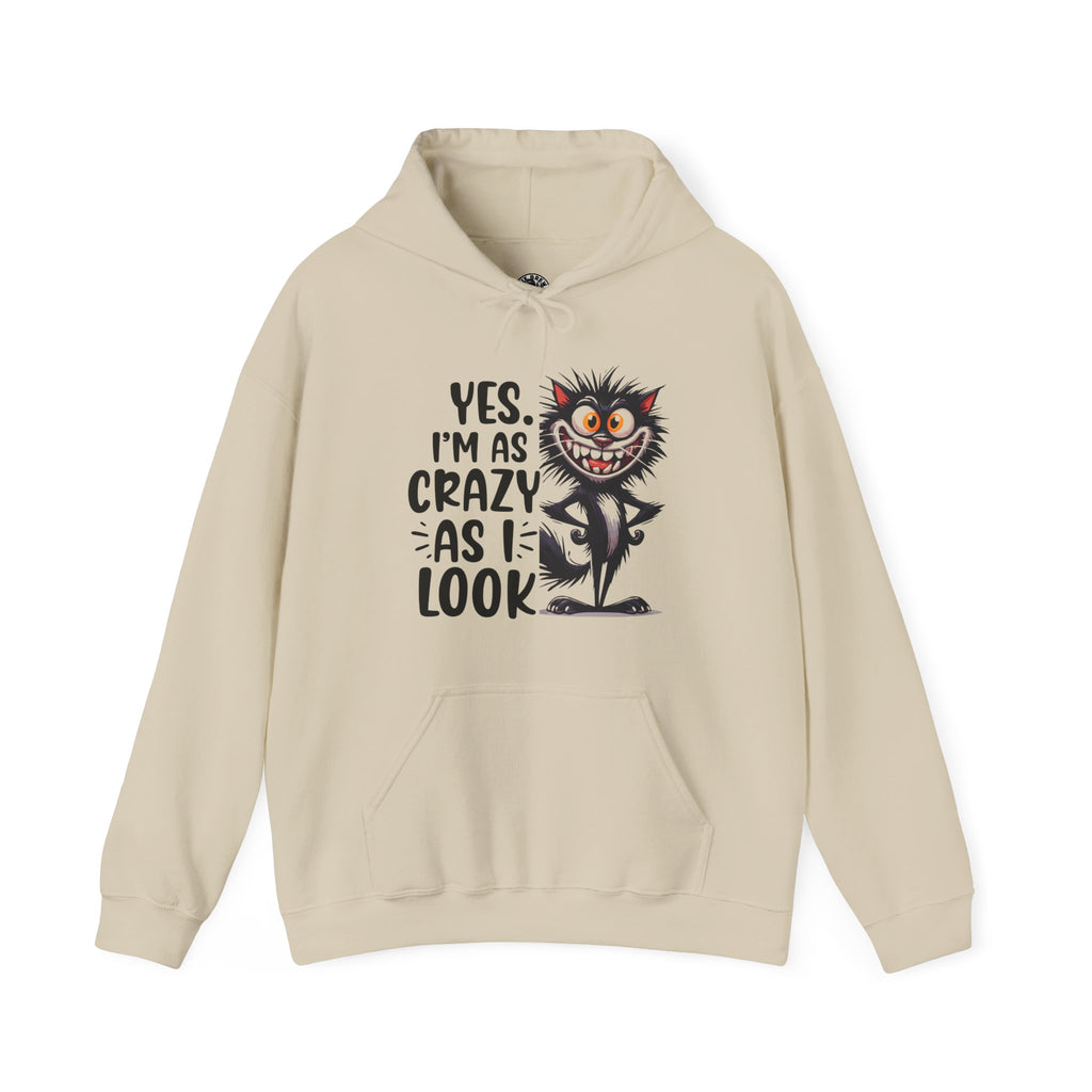 I'm as crazy as I look hoodie, sarcastic sweatshirt for adults, funny casual hoodie