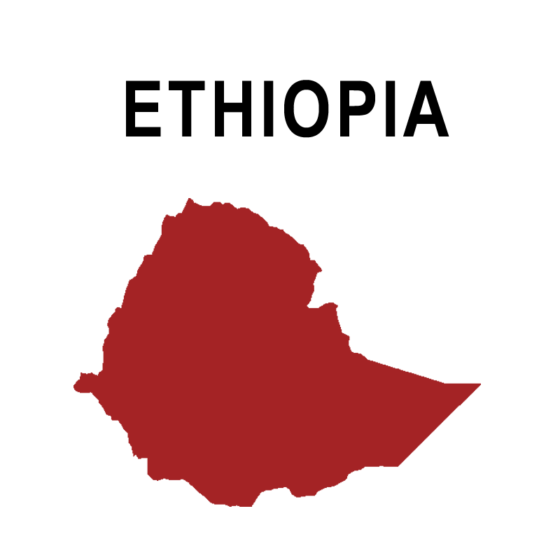 Ethiopia – Sidama Heirloom