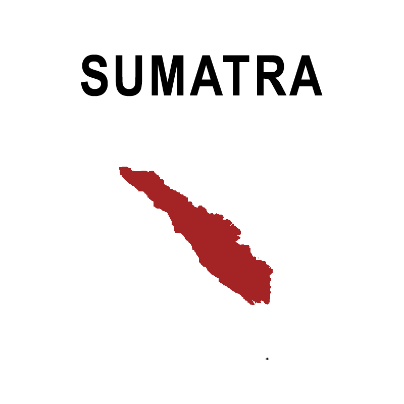 Sumatra – Aceh Giling Basah